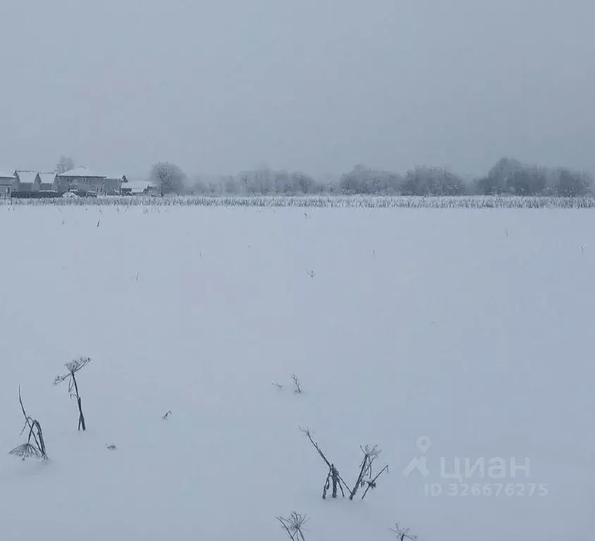 Участок в Московская область, Дмитровский муниципальный округ, пос. ... - Фото 1
