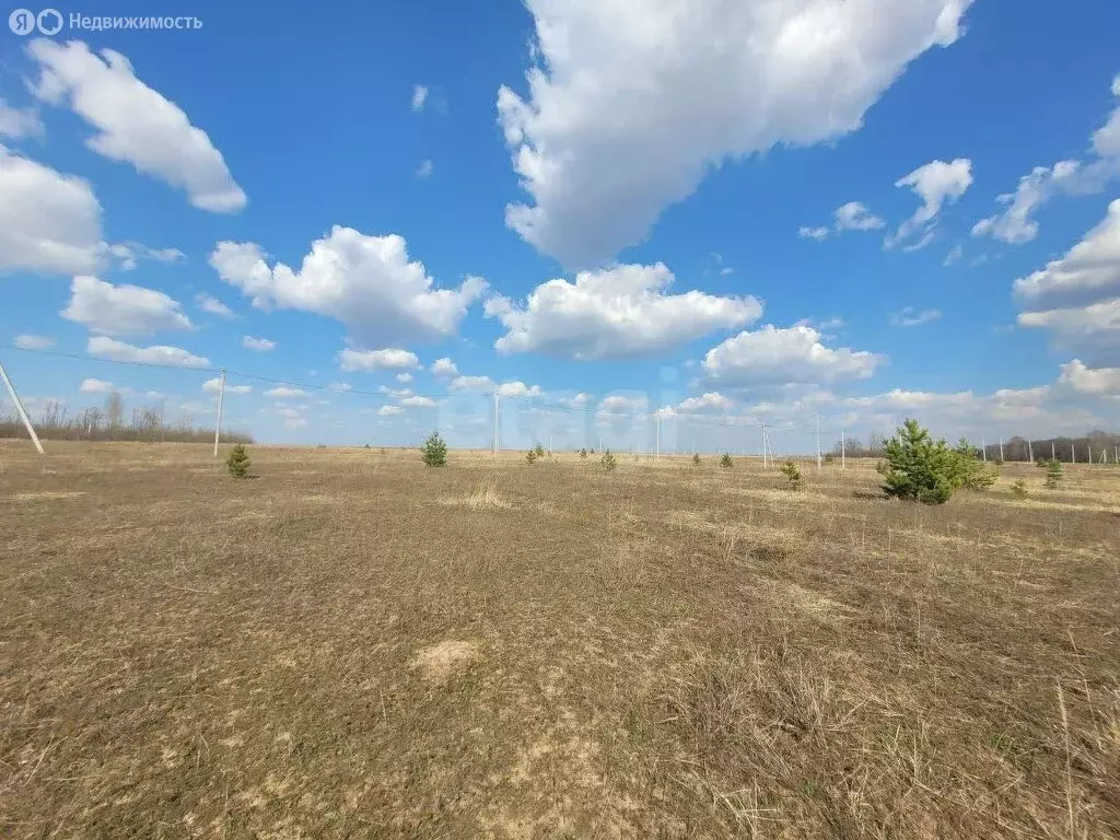 Участок в Лаишевский район, село Сокуры (6 м) - Фото 1