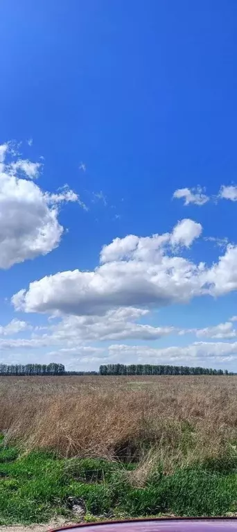 Участок в Ульяновская область, Ульяновск городской округ, с. ... - Фото 1