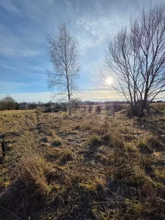 Участок в Калужская область, Калуга городской округ, д. Пучково  (33.0 ... - Фото 2