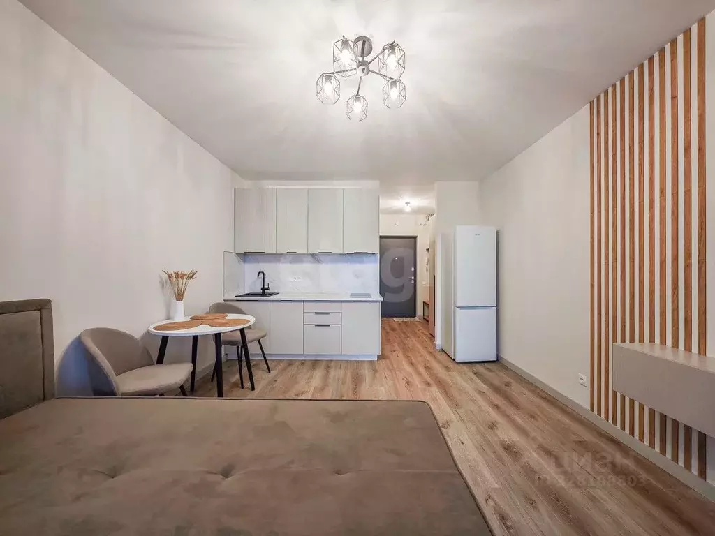 Студия Санкт-Петербург пос. Шушары, просп. Новгородский, 2к3 (25.0 м) - Фото 1