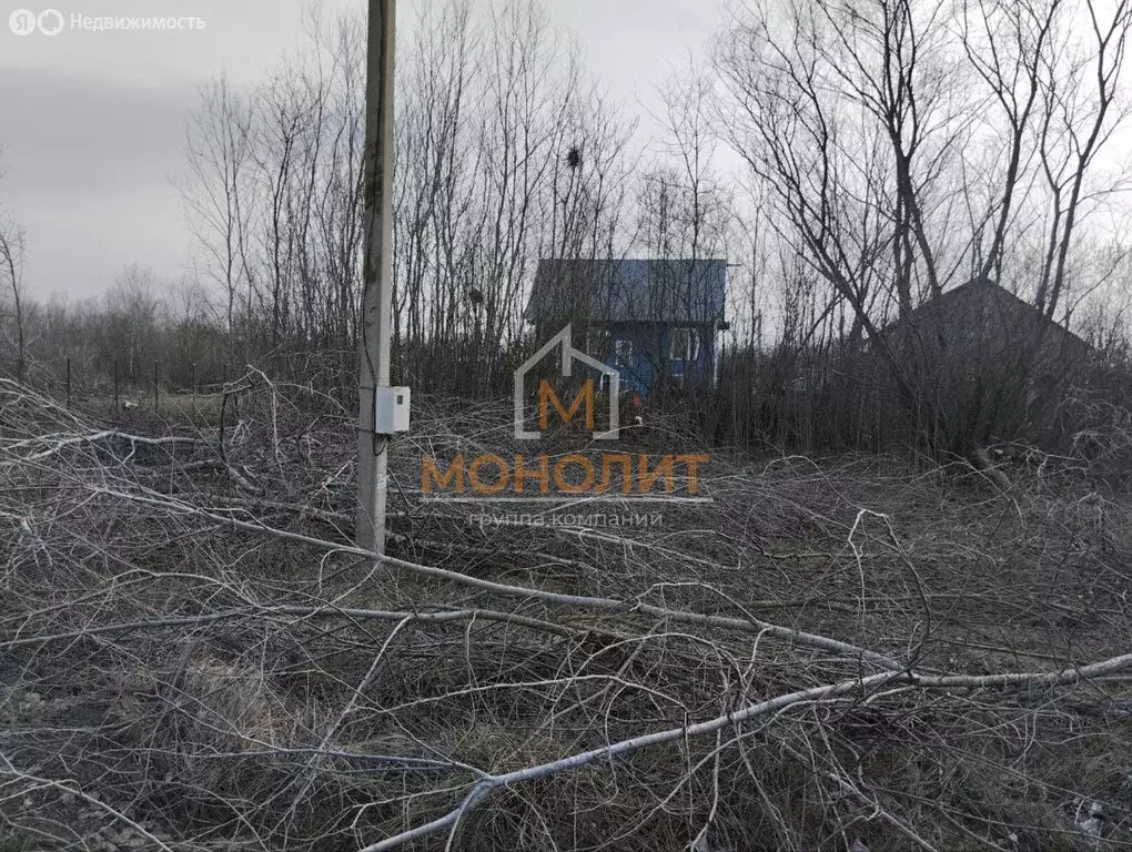 Участок в Саратовская, Сосновая улица (6 м) - Фото 1