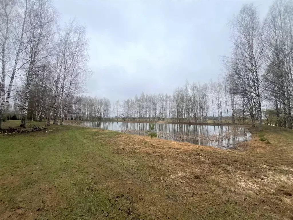 Участок в Владимирская область, Петушинский муниципальный округ, д. ... - Фото 1
