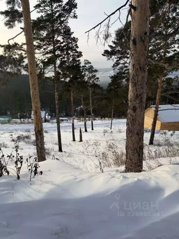 Участок в Бурятия, Улан-Удэ ул. Семейная (8.0 сот.) - Фото 1