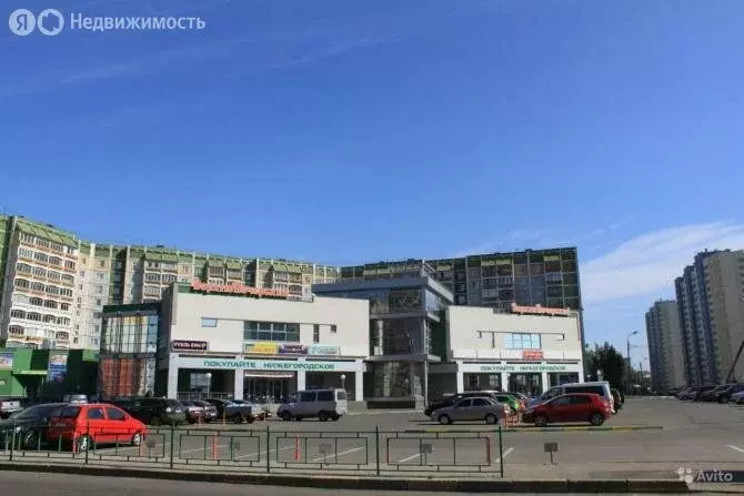 Торговая площадь (35 м) - Фото 2