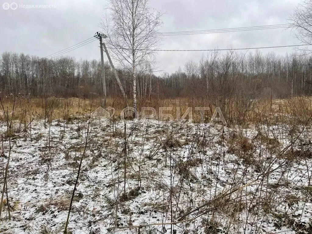 Участок в Тюменский район, село Горьковка (6 м) - Фото 0