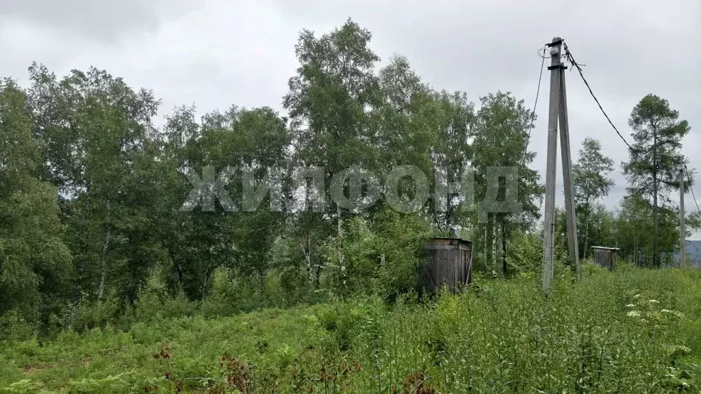 Участок в Иркутская область, Иркутский муниципальный округ, д. ... - Фото 2
