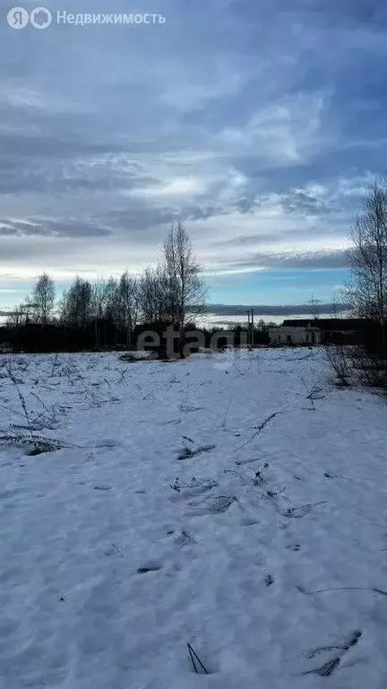 Участок в деревня Кабицыно, садоводческое некоммерческое товарищество ... - Фото 0