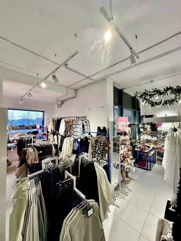 Помещение свободного назначения в Татарстан, Казань ул. Петра ... - Фото 2