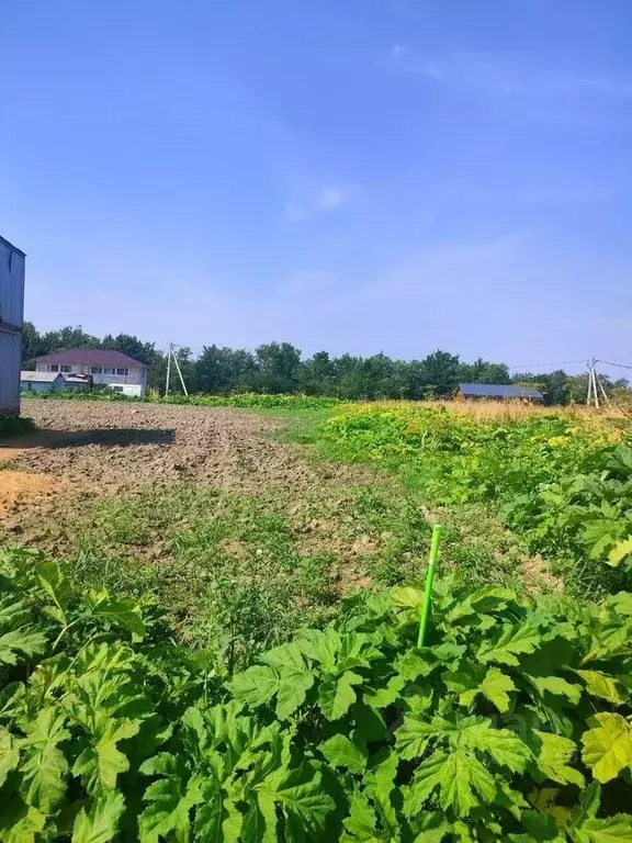 Участок в Ленинградская область, Тосненский район, Тельмановское ... - Фото 1