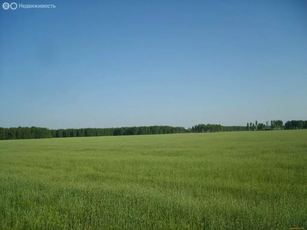 Участок в Краснодарский край, муниципальный округ Анапа, село ... - Фото 0
