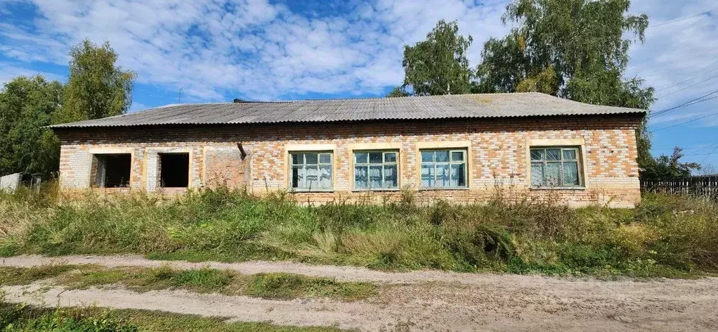 Помещение свободного назначения в Курганская область, Кетовский ... - Фото 1