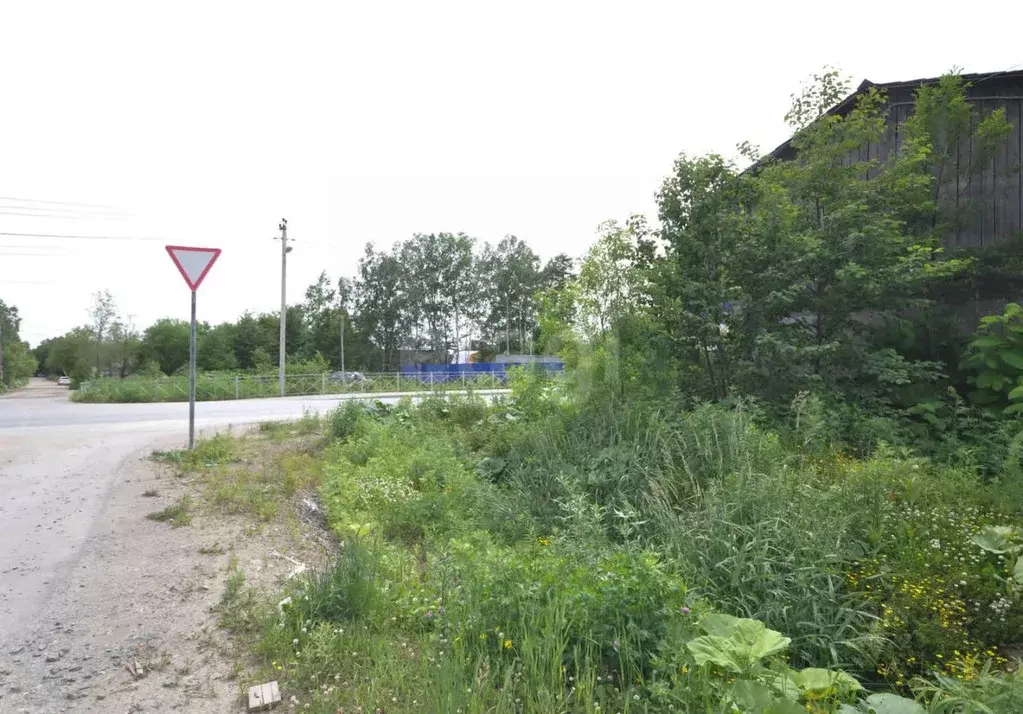 Участок в Сахалинская область, Южно-Сахалинск ул. Сиреневый Двор, 517 ... - Фото 1