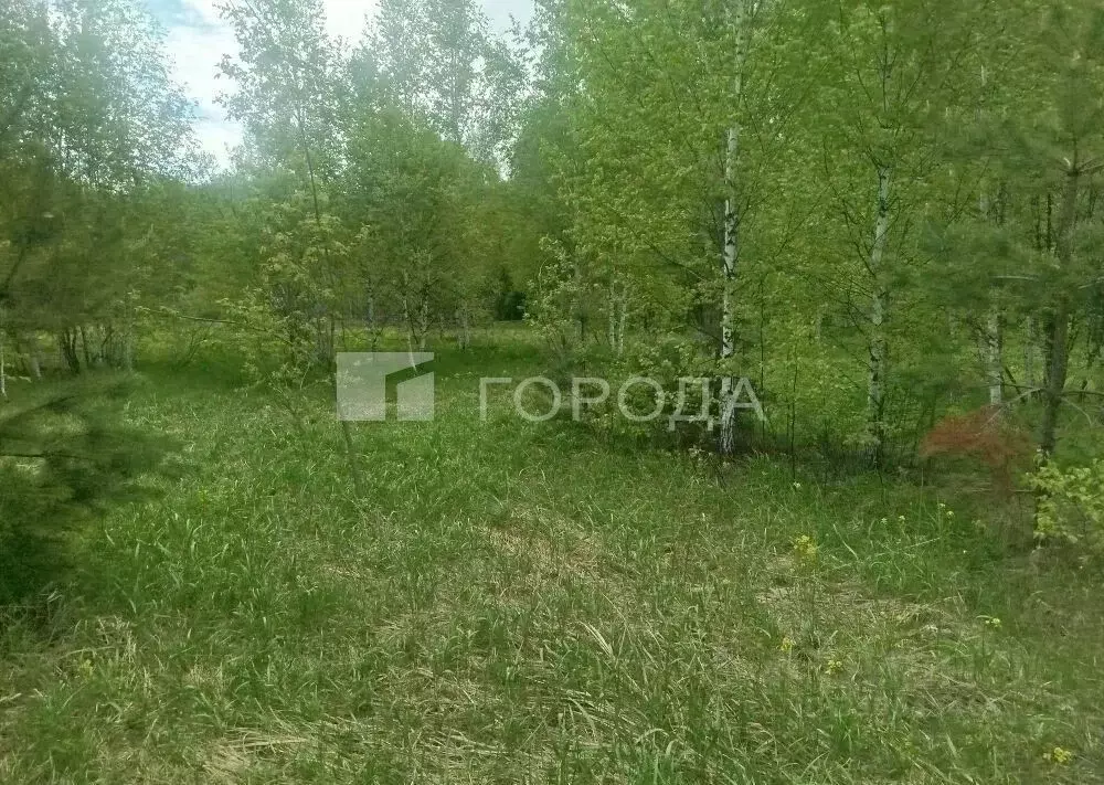 Участок в Новосибирская область, Новосибирский район, Новолуговской ... - Фото 2