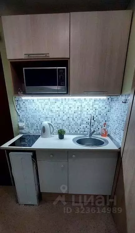 2-к кв. Воронежская область, Воронеж ул. Березовая Роща, 28/1 (25.0 м) - Фото 1