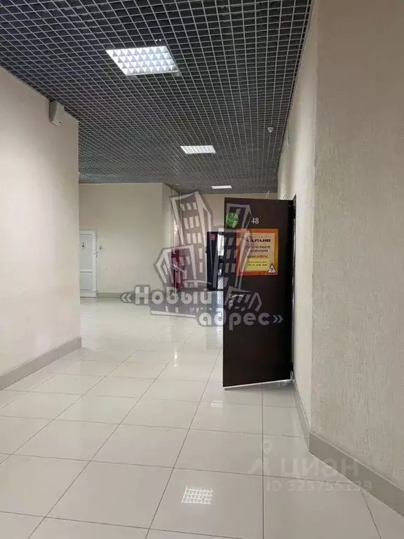 Торговая площадь в Воронежская область, Воронеж ул. Фридриха Энгельса, ... - Фото 2