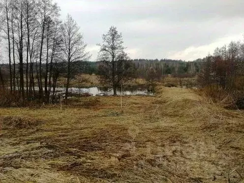 Участок в Калужская область, Перемышльский район, Большие Козлы с/пос, ... - Фото 0