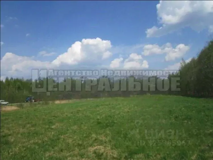 Участок в Смоленская область, Смоленский муниципальный округ, с. ... - Фото 2