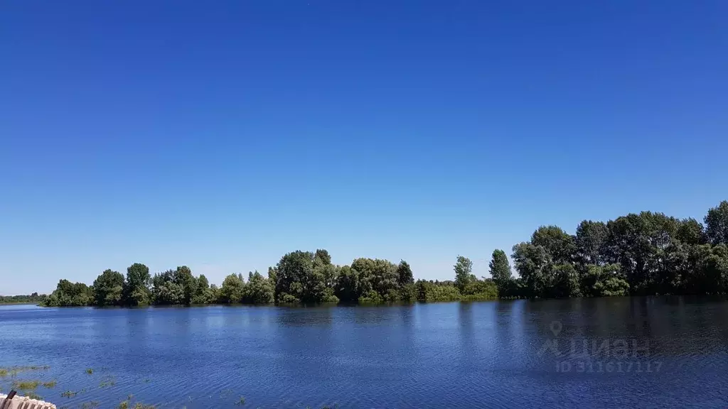 Участок в Новосибирская область, Колыванский район, с. Скала Береговая ... - Фото 0