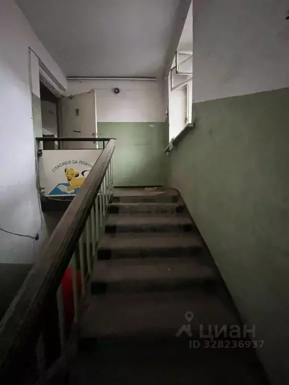 Помещение свободного назначения в Кировская область, Киров ул. ... - Фото 1