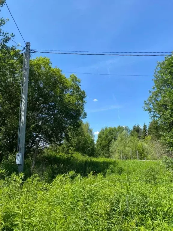 Участок в Нижегородская область, Бор пос. Большое Пикино, ул. ... - Фото 1