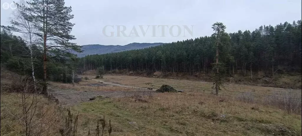 Участок в Майминский район, село Манжерок (10 м) - Фото 1