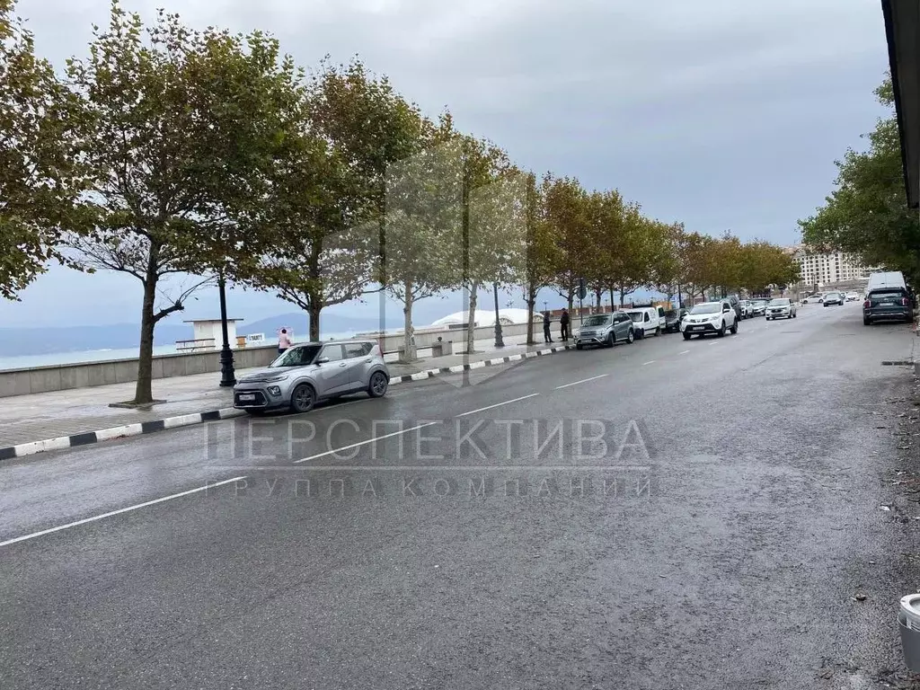 Помещение свободного назначения в Краснодарский край, Новороссийск ... - Фото 2