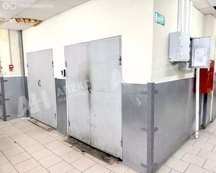 Помещение свободного назначения (1135 м) - Фото 2