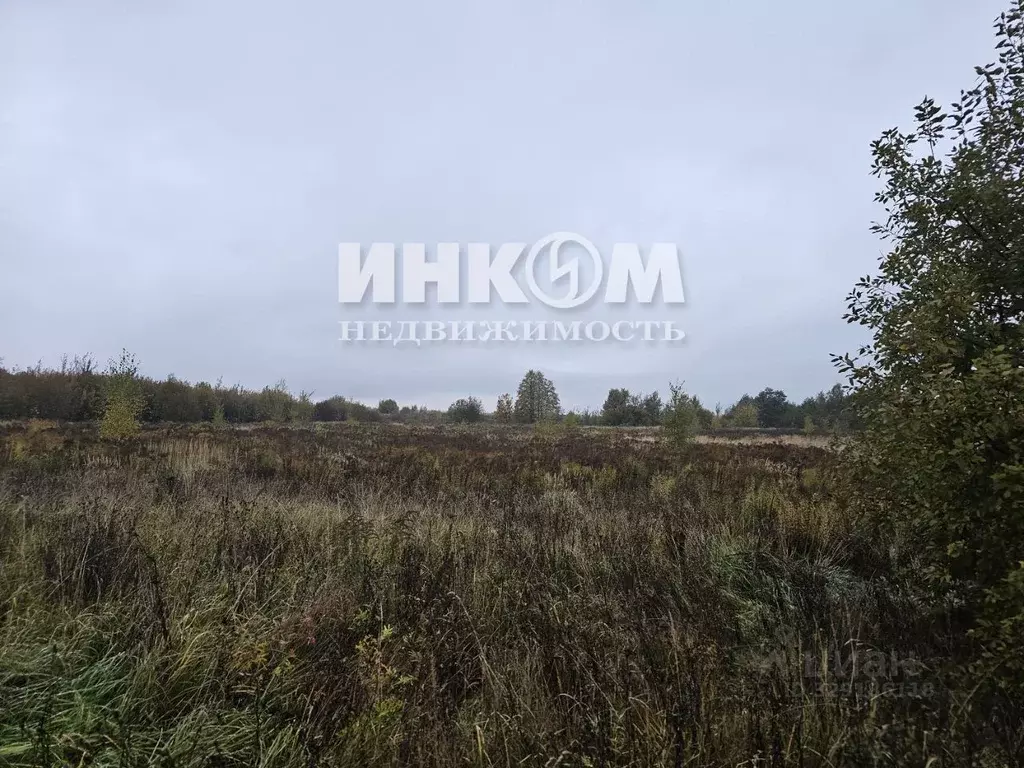 Участок в Московская область, Можайский муниципальный округ, Знаменка ... - Фото 2
