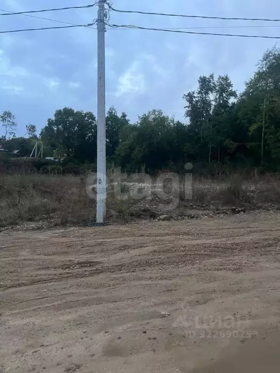 Участок в Амурская область, Благовещенский район, с. Чигири  (15.3 ... - Фото 1