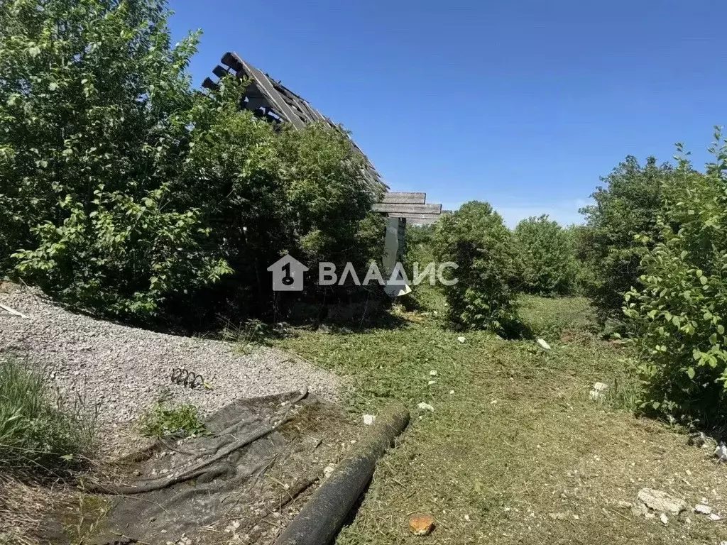 Участок в Пензенская область, Мокшанский район, с. Симбухово Заречная ... - Фото 2