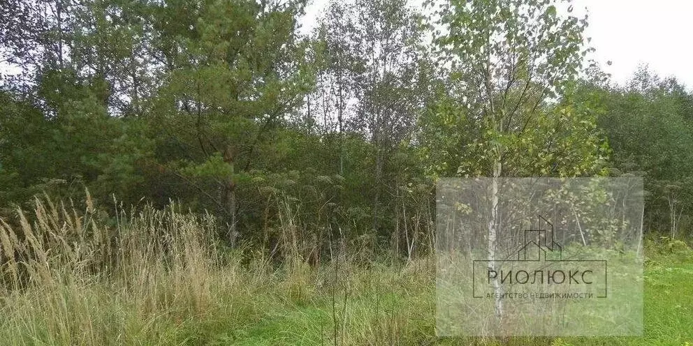 Участок в Челябинская область, Чесменский муниципальный округ, с. ... - Фото 2