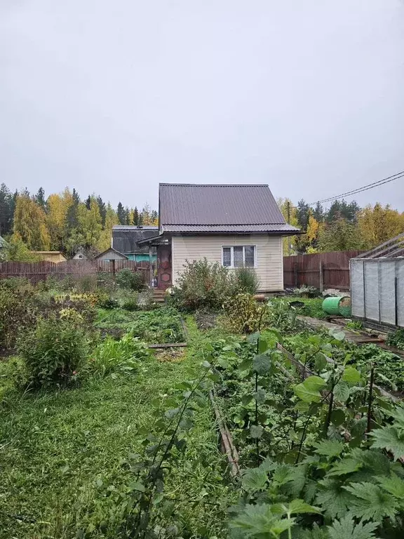 Дом 26 м на участке 6 сот. - Фото 0