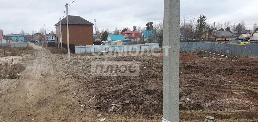 Участок в Ханты-Мансийский АО, Сургут Прибрежный-3 садовое ... - Фото 1