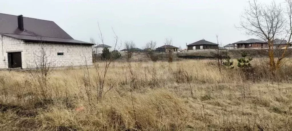 Участок в Липецкая область, Липецкий муниципальный округ, с. Большая ... - Фото 2