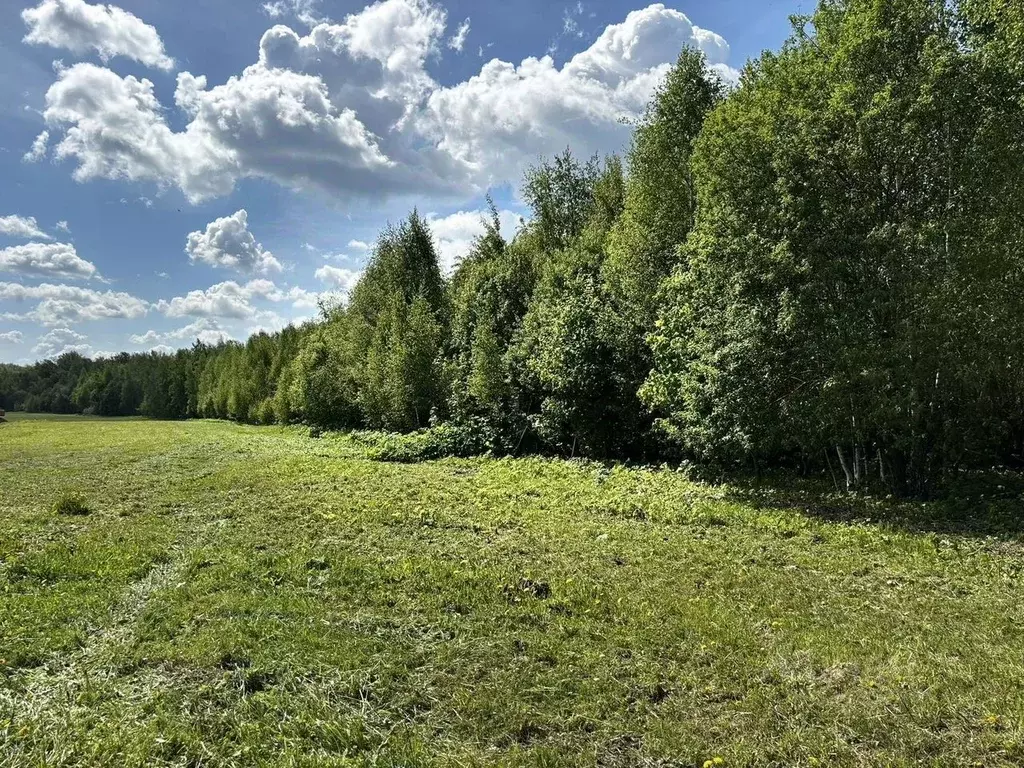 Участок в Московская область, Раменский муниципальный округ, Ольховка ... - Фото 0