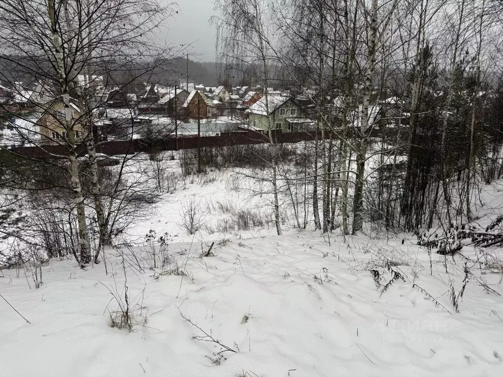 Участок в Московская область, Пушкинский городской округ, д. Лепешки  ... - Фото 0