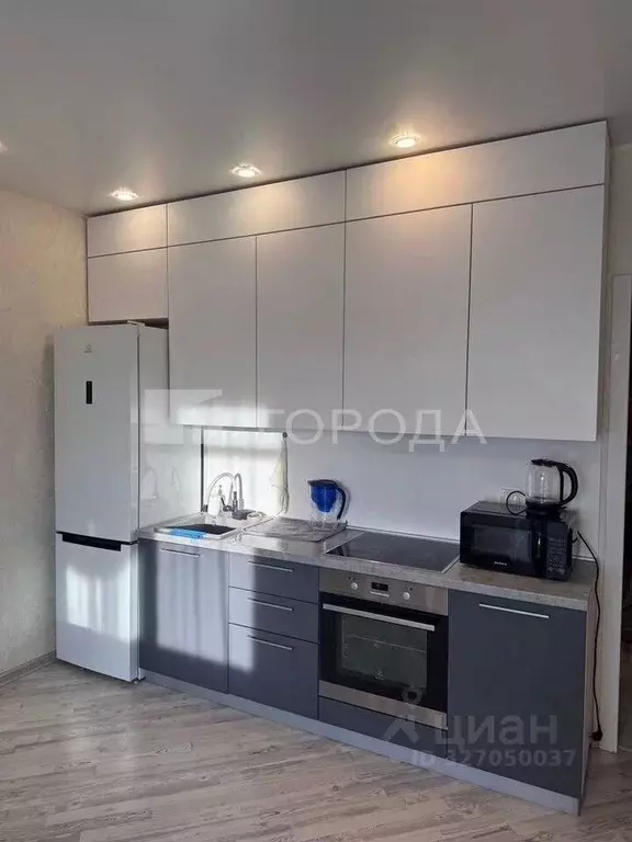 Студия Новосибирская область, Новосибирск Красный просп., 313 (28.0 м) - Фото 1