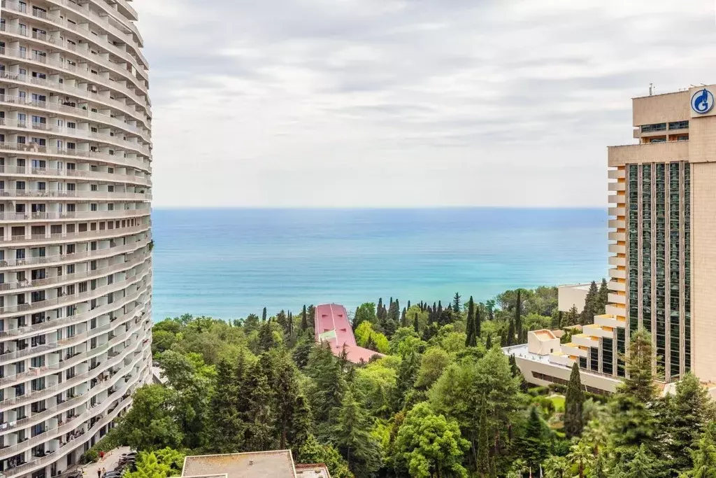 Студия Краснодарский край, Сочи Курортный просп., 108 (41.2 м) - Фото 1