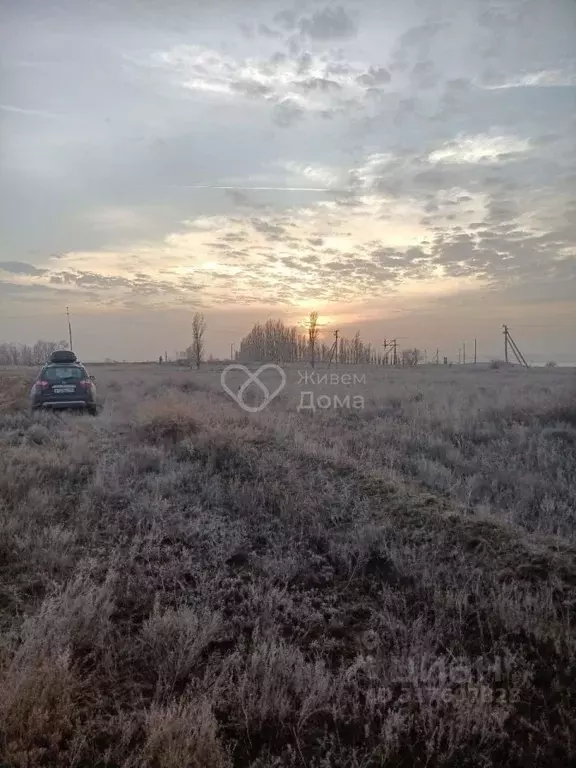 Участок в Волгоградская область, Среднеахтубинский район, ... - Фото 1