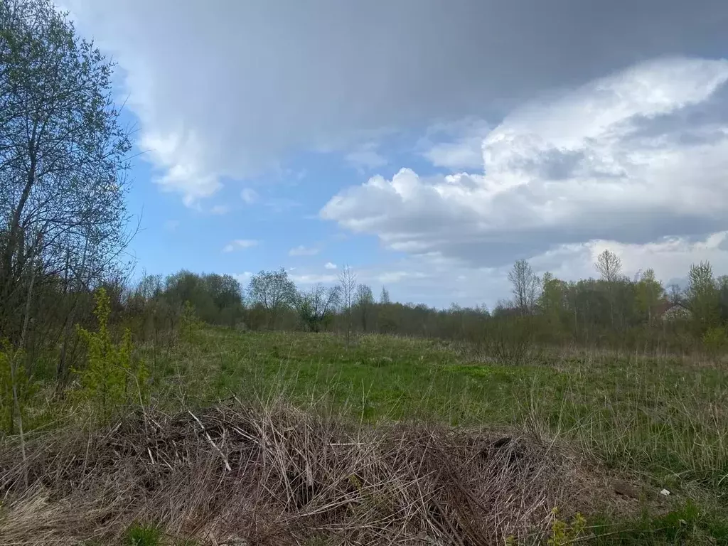 Участок в Ленинградская область, Волхов Шкурина Горка мкр,  (13.0 ... - Фото 2