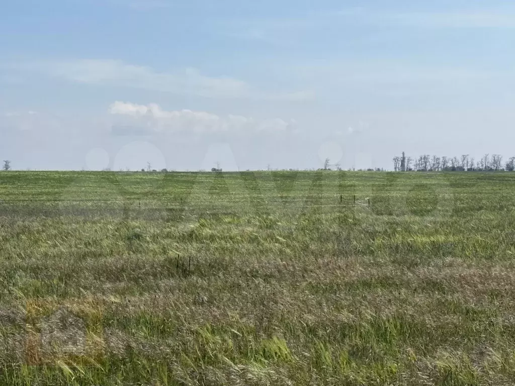 Участок 6 сот. (СНТ, ДНП) - Фото 1