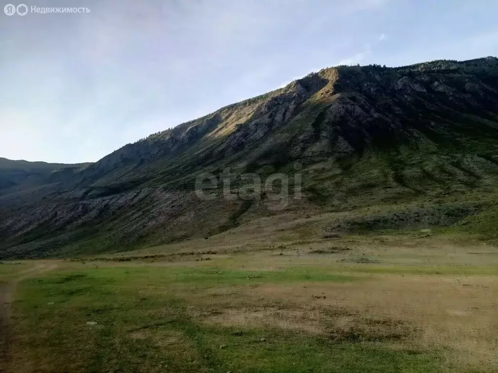 Участок в Улаганский район, село Чибит (18 м) - Фото 2