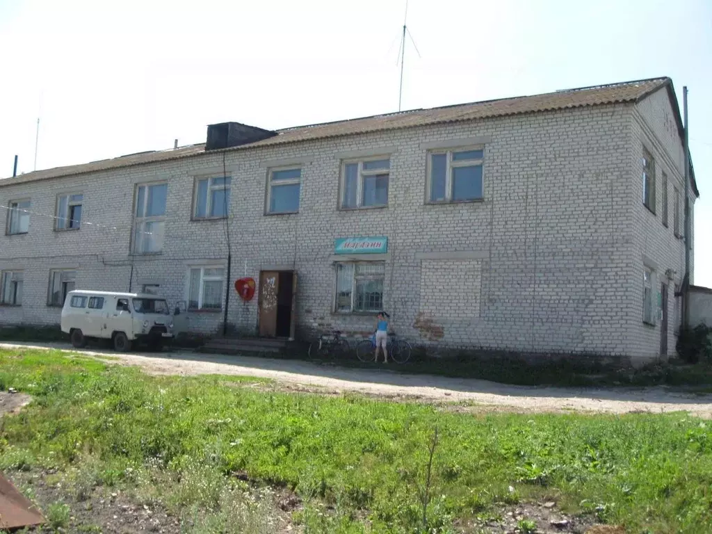 Помещение свободного назначения в Ульяновская область, Барышский ... - Фото 1