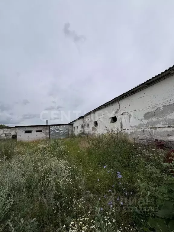 Помещение свободного назначения в Липецкая область, Лебедянский ... - Фото 2