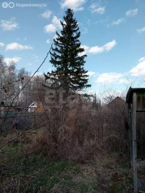 Дом в Омск, ТСН СНТ Сибзаводовец (22 м) - Фото 1