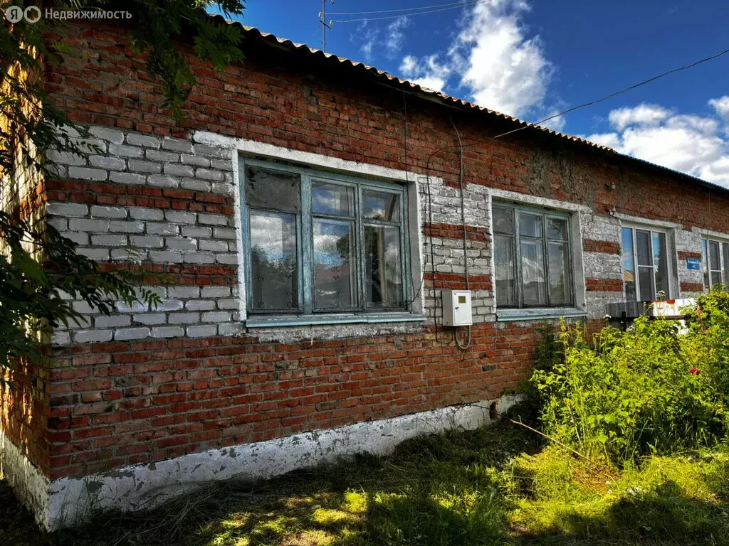 Дом в Заринский район, село Новомоношкино (65 м) - Фото 0