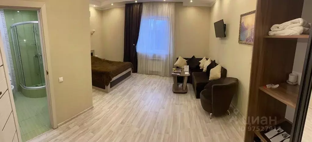 Комната Калужская область, с. Совхоз Боровский ул. Садовая, 1 (27.0 м) - Фото 0
