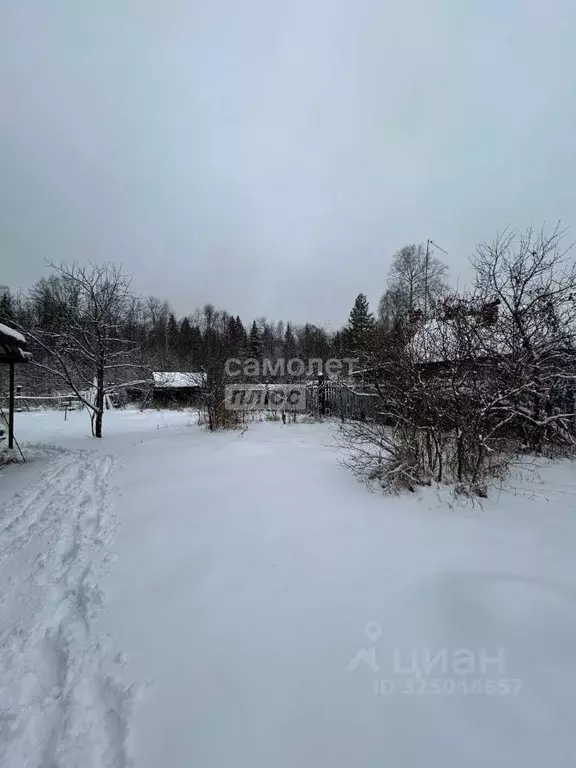 Участок в Марий Эл, Медведевский район, Куярское с/пос, Салют СНТ  ... - Фото 2