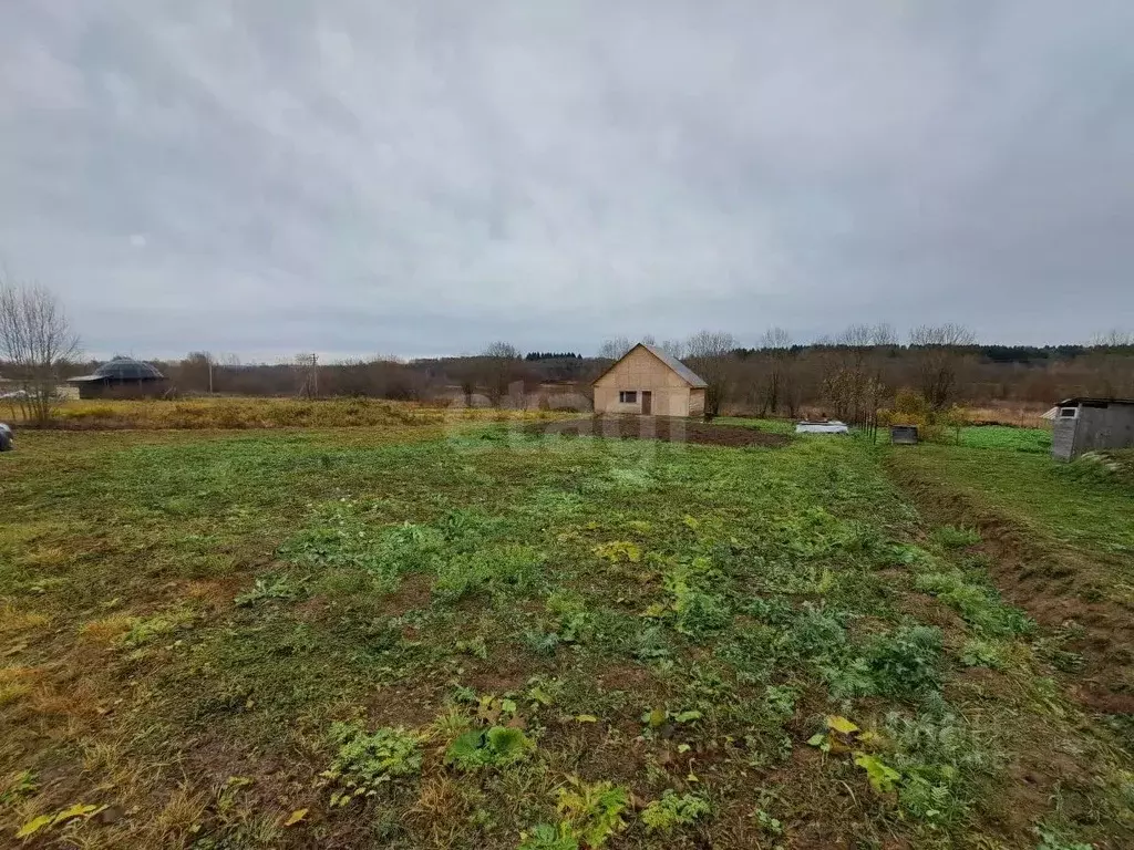 Участок в Вологодская область, Шекснинский район, Никольское с/пос, д. ... - Фото 1